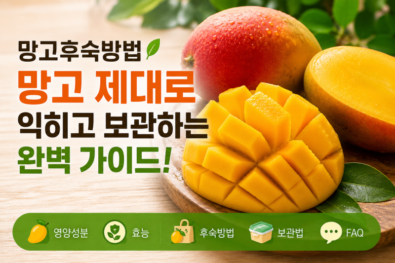 망고후숙방법 실온 보관부터 먹는 타이밍까지 총정리