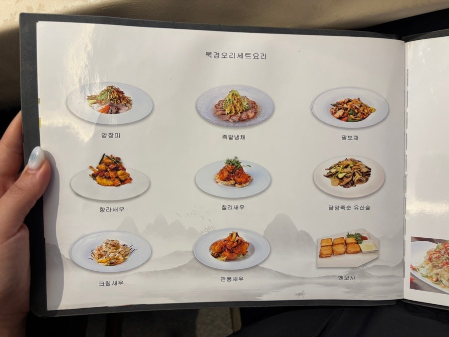 차이킹 북경오리 사진 5