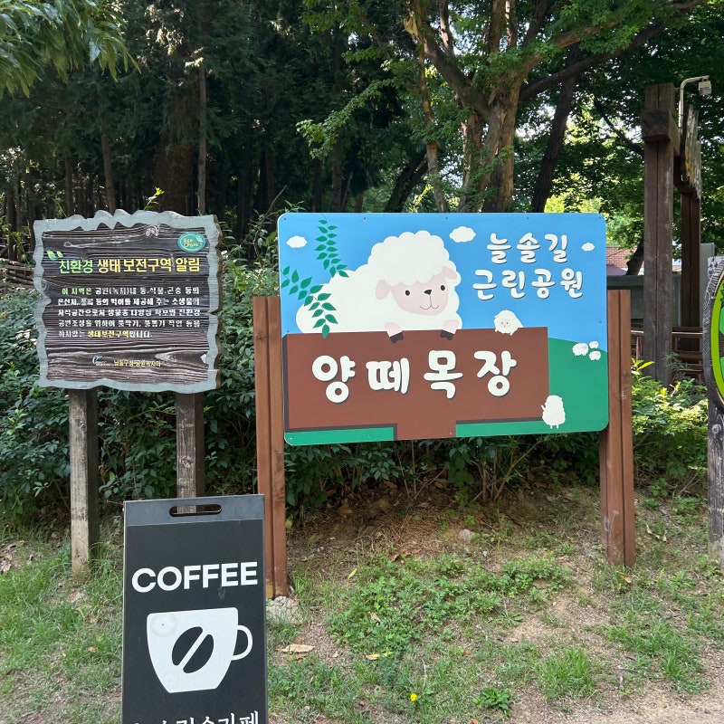 인천 가볼만한 곳, 늘솔길공원 총정리 양떼목장, 산책길, 포토존까지