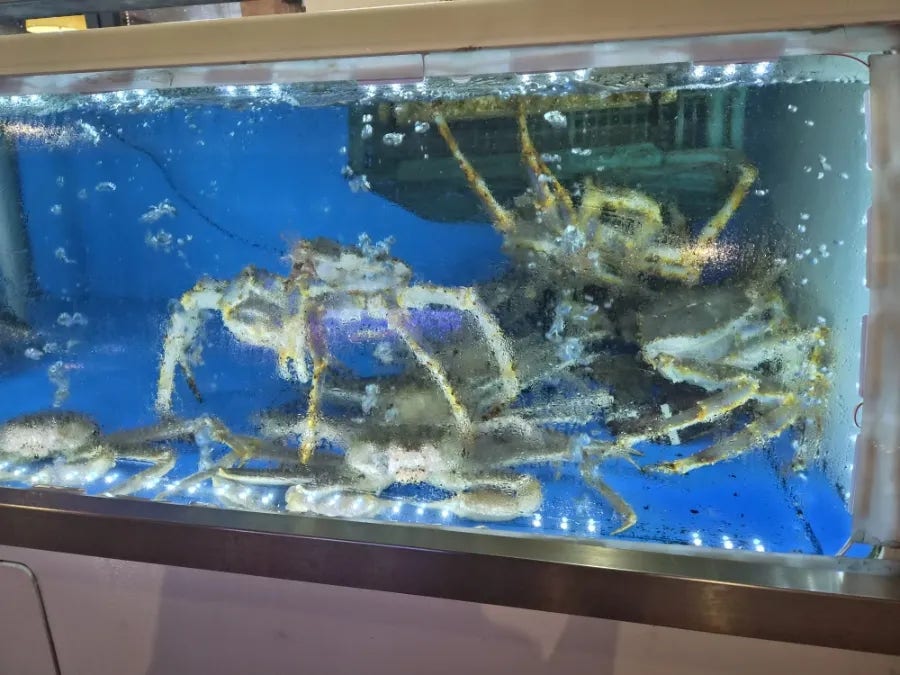 대게시장 사진 3