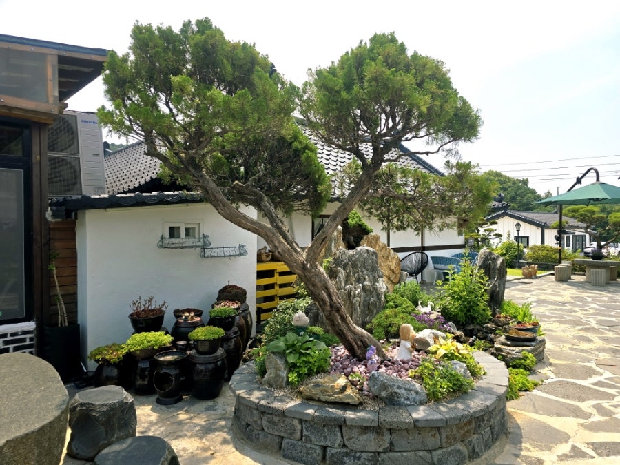 약암리495 사진 4