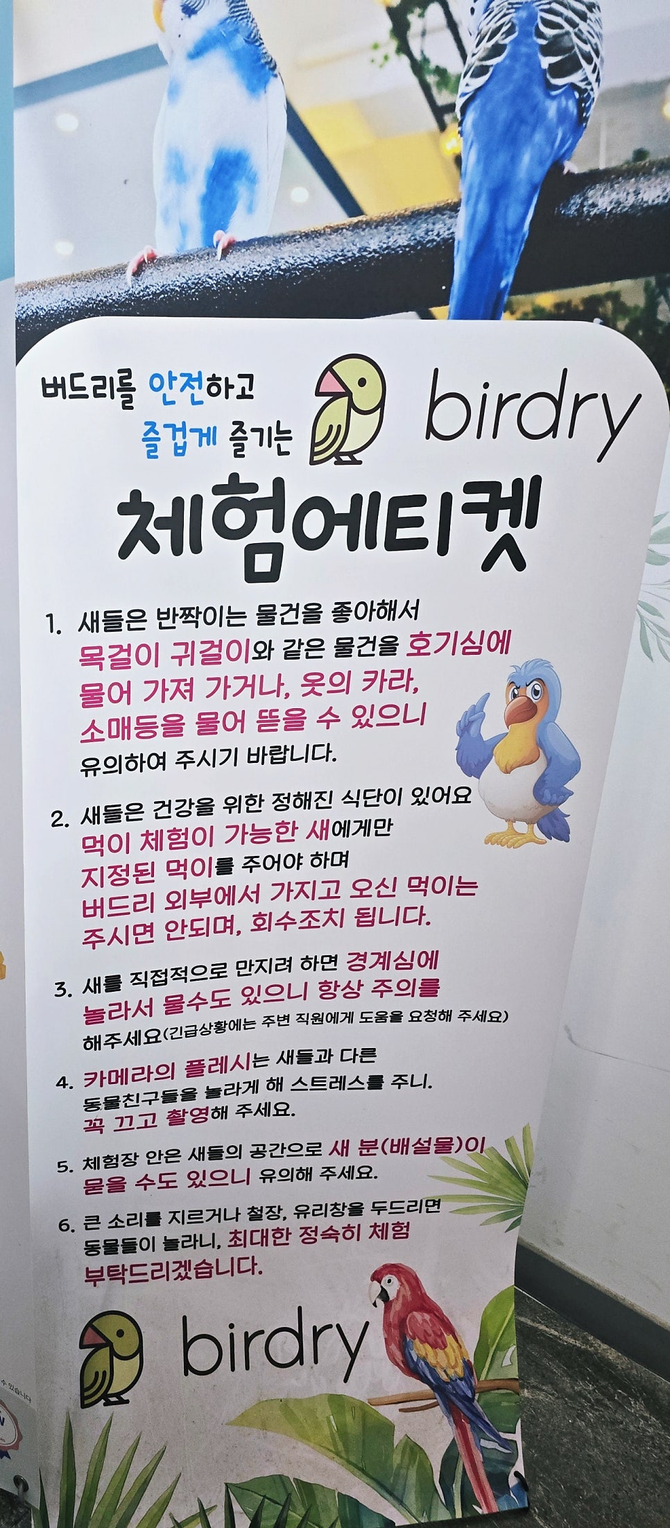 앵무새카페 버드리 전주 사진 3