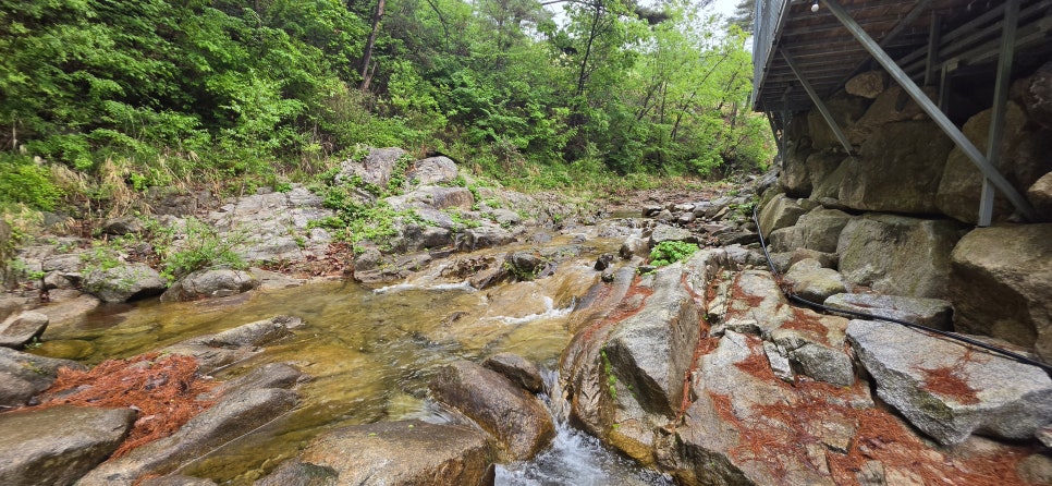 춘천별빛캠핑장 사진 3
