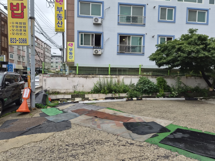 늘푸른쌈밥 사진 4