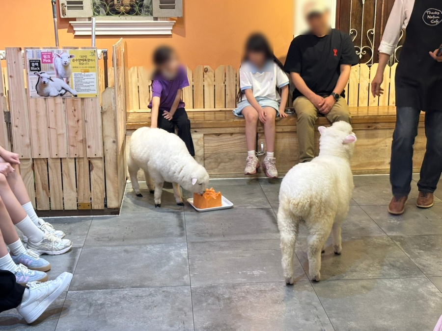 땡스네이쳐카페 사진 4