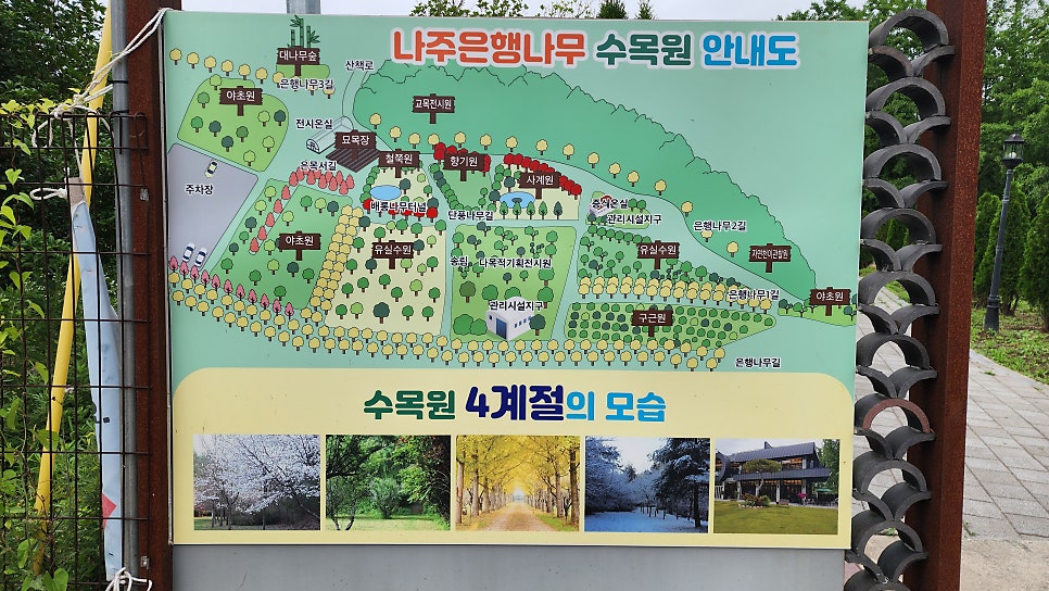 나주은행나무수목원