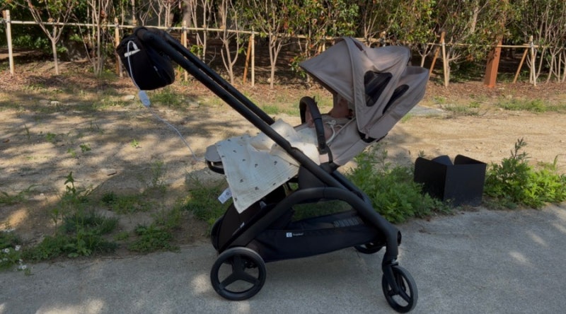 부가부 절충형 유모차 신상 드래곤플라이 플러스 데저트 토프 색상(Bugaboo Dragonfly Plus compact ci....