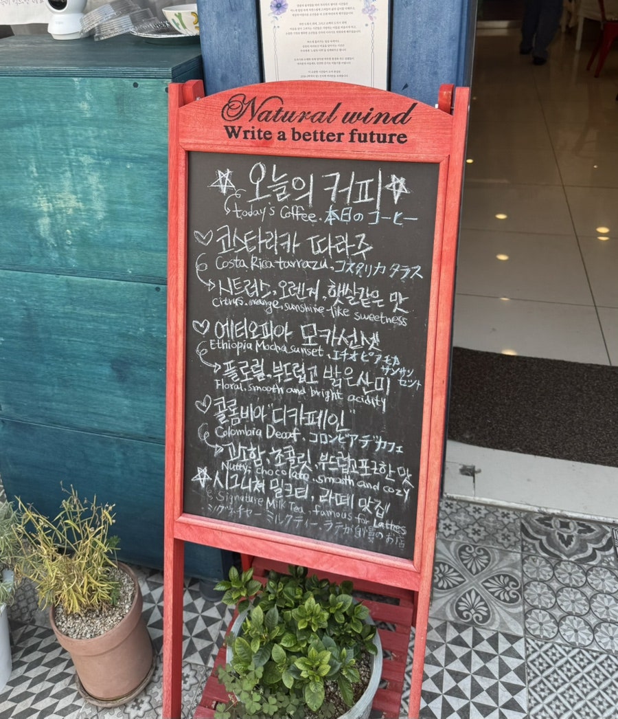 포셀린 사진 3