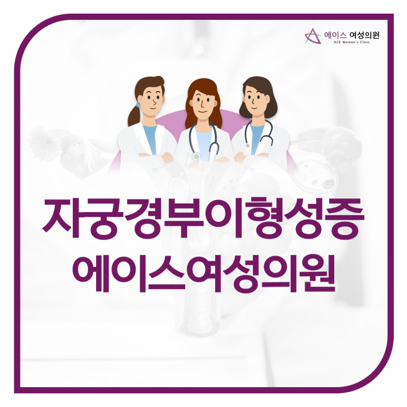 자궁경부이형성증 원인 HPV(인유두종바이러스) 이유는?