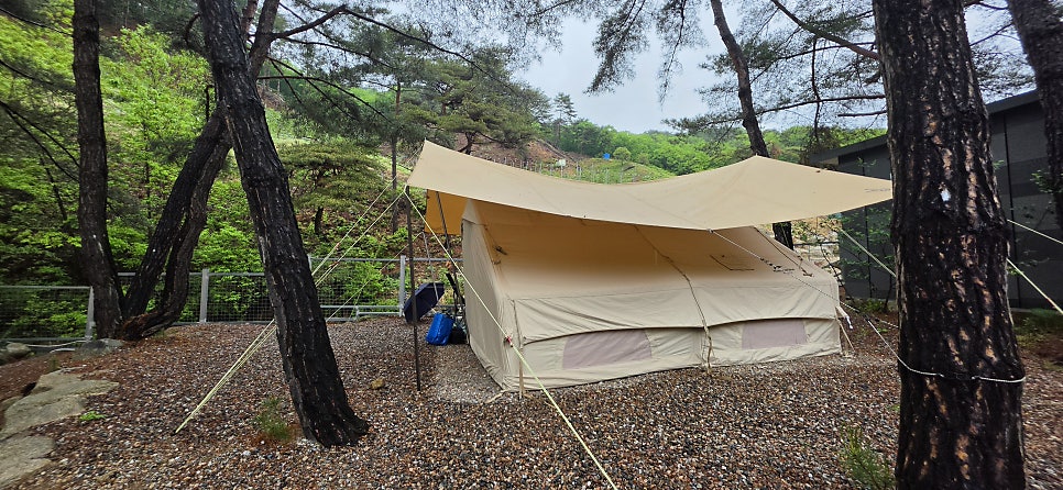 춘천별빛캠핑장 사진 2