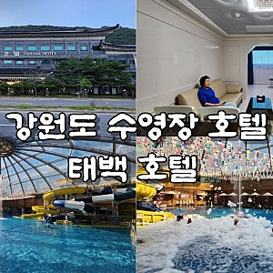 강원도 여행 가족 숙소 태백 호텔 수영장 조식 호캉스 후기