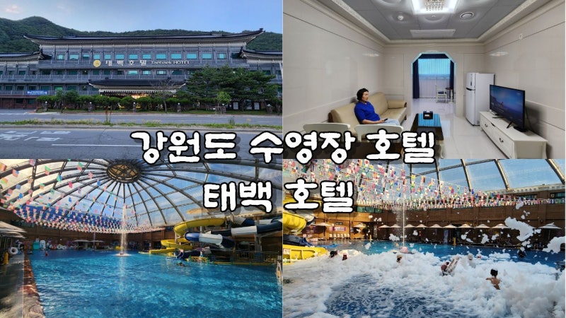 강원도 여행 가족 숙소 태백 호텔 수영장 조식 호캉스 후기