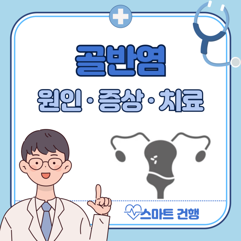 여자 골반염 증상, 원인, 검사, 치료 방법 : 골반 염증