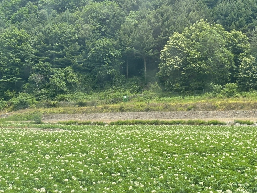 자금성 사진 5