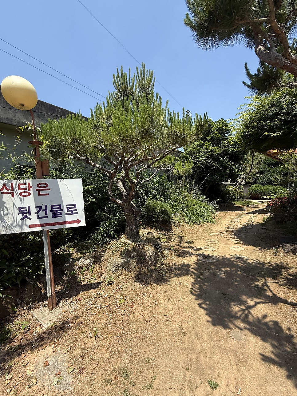십장생 사진 4