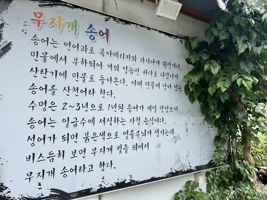 무지개송어장 사진 2