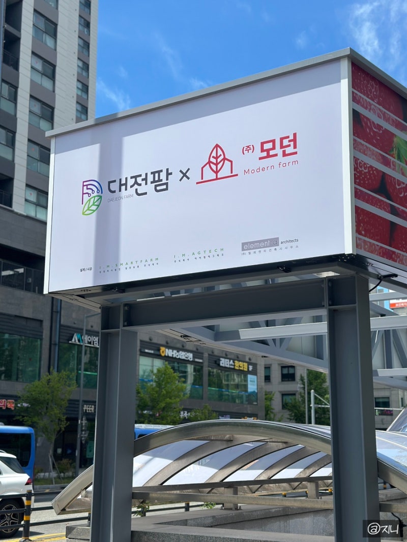 [대전] 아이와 실내데이트 둔산동 카페 대전팜 모던