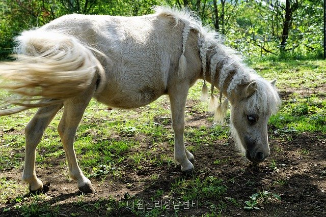다원 사진 3