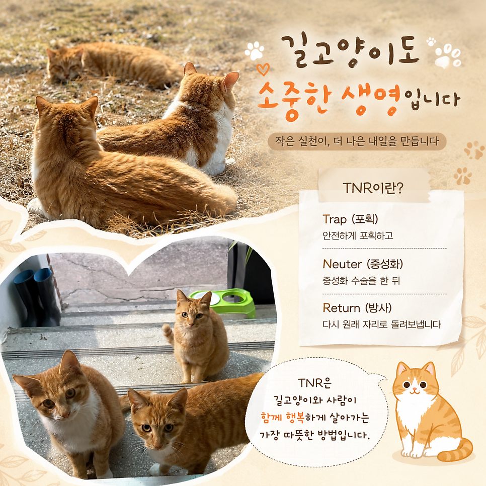 오수의과동물병원 사진 1