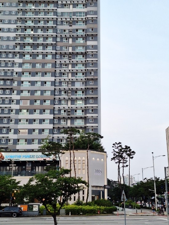 안스베이커리 송도점 사진 5