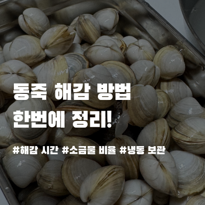 동죽 해감 방법부터 냉동 보관까지, 모래 없이 손질하는 꿀팁!