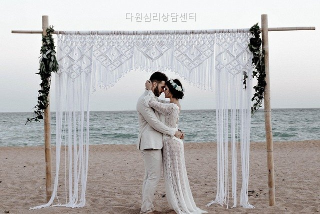 다원 사진 6