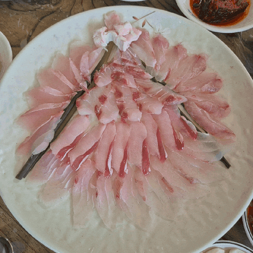 신안군 맛집 섬마을횟집, 신안횟집 찾는다면 민어회는 여기!