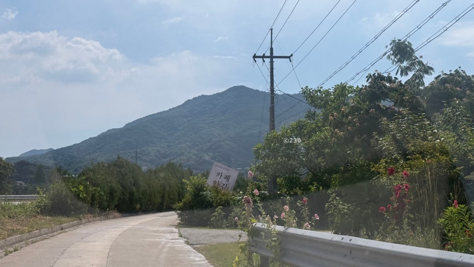 카페안김 사진 1