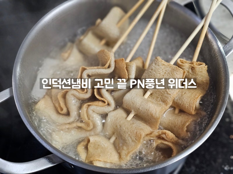 인덕션냄비 고민 끝 PN풍년 위더스 베이원 IH 20CM 양수 사용후기