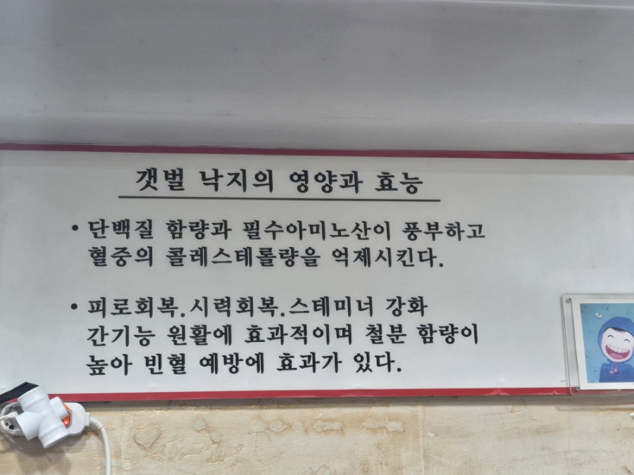 무안갯벌낙지 사진 4