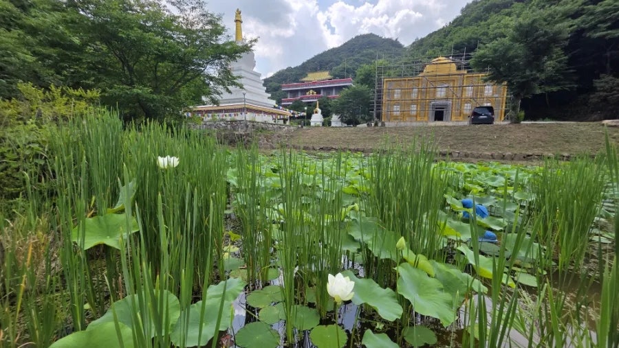 대원사 티벳박물관 사진 4