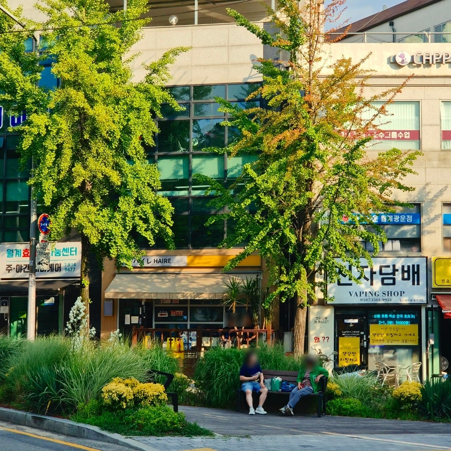 하이레 사진 1