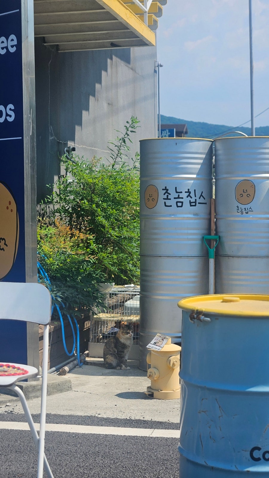 촌놈칩스 신정호점 사진 6