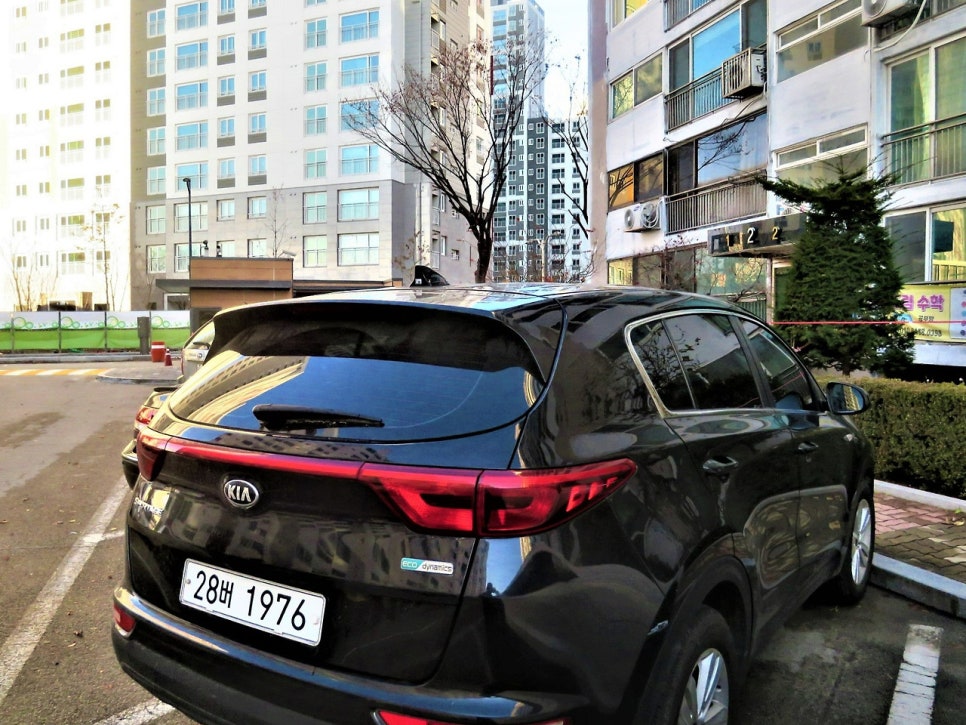 파진산 사진 6
