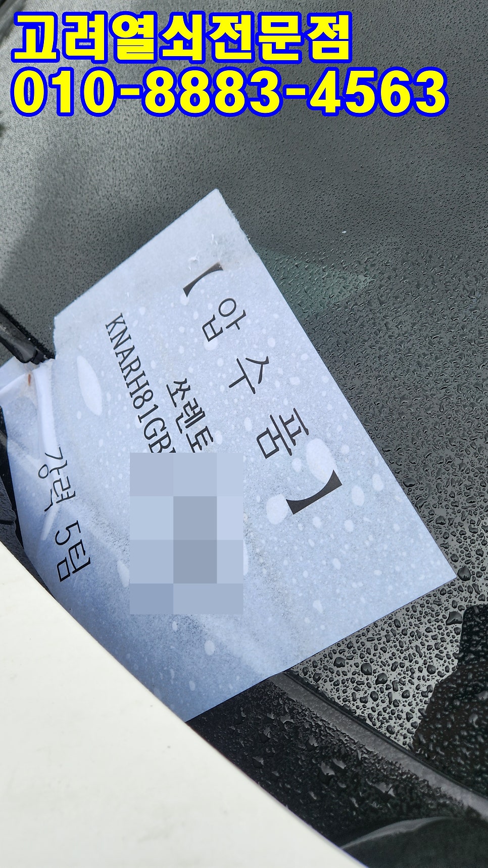 보원 사진 2