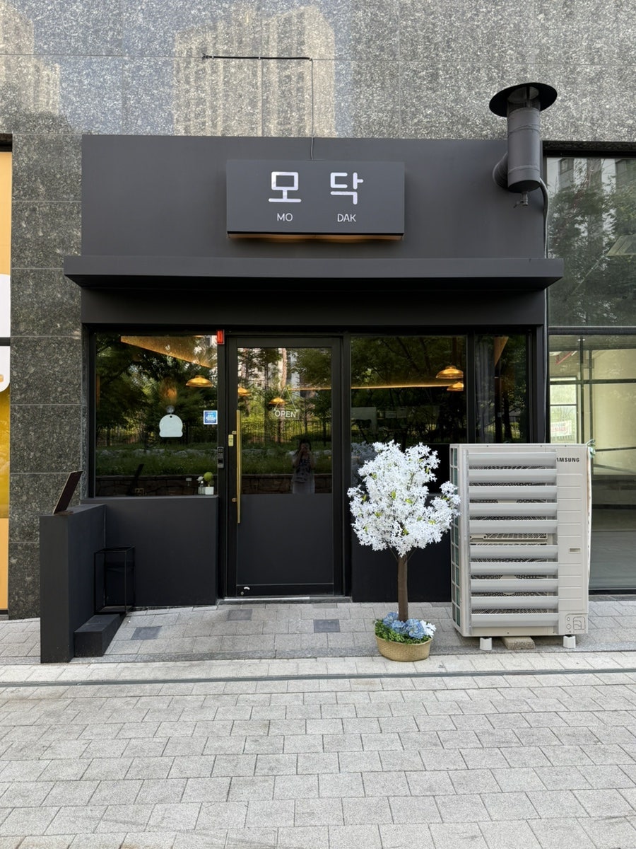 모닥 사진 3