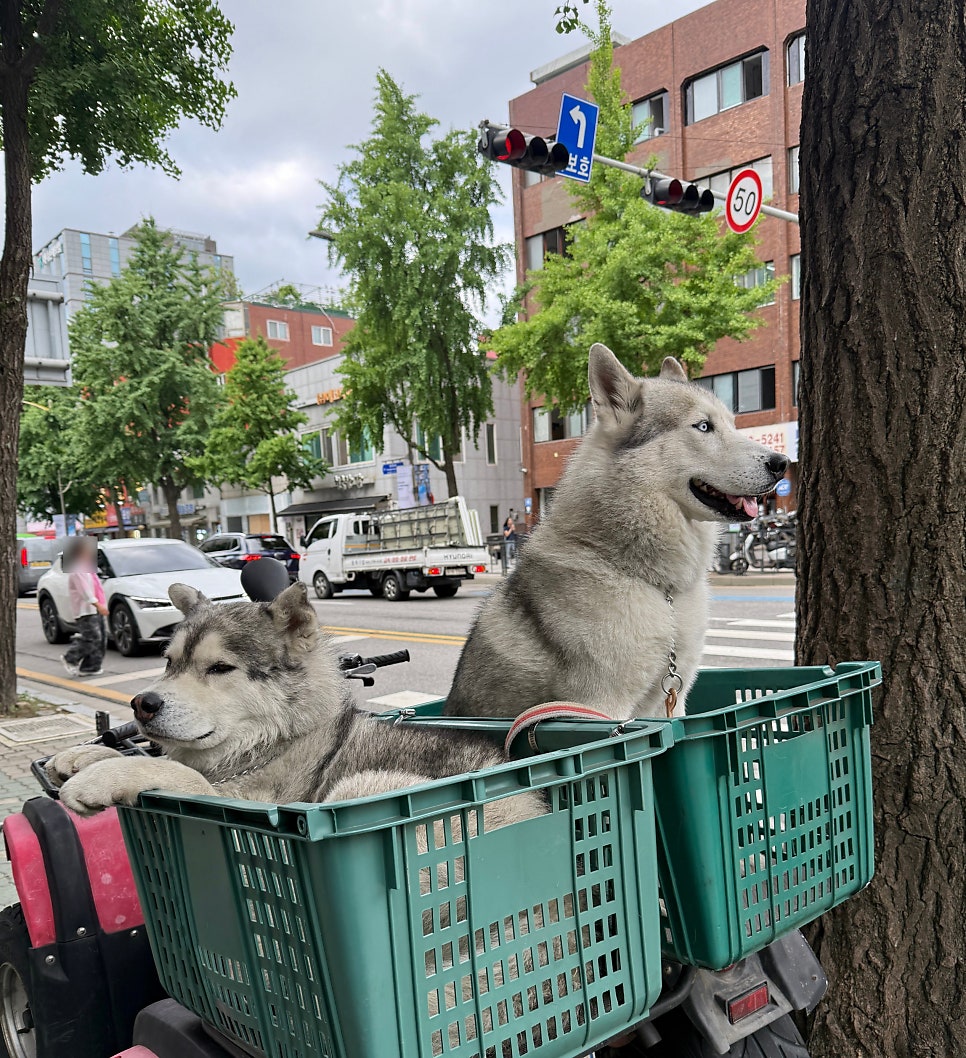 육즙마니 본점 사진 3