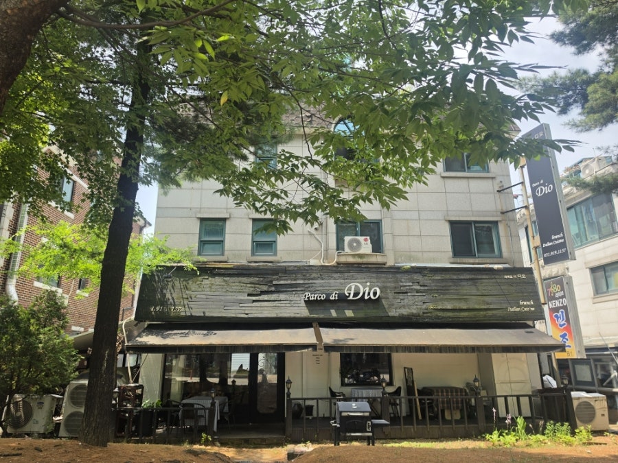 Pareukodidio photo 2
