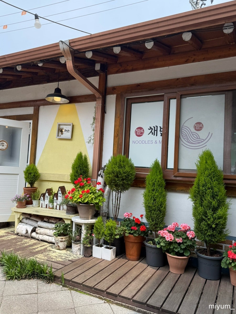 채반 사진 3