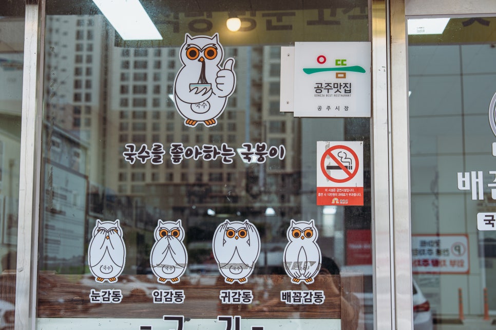 배꼽부엉이 사진 2