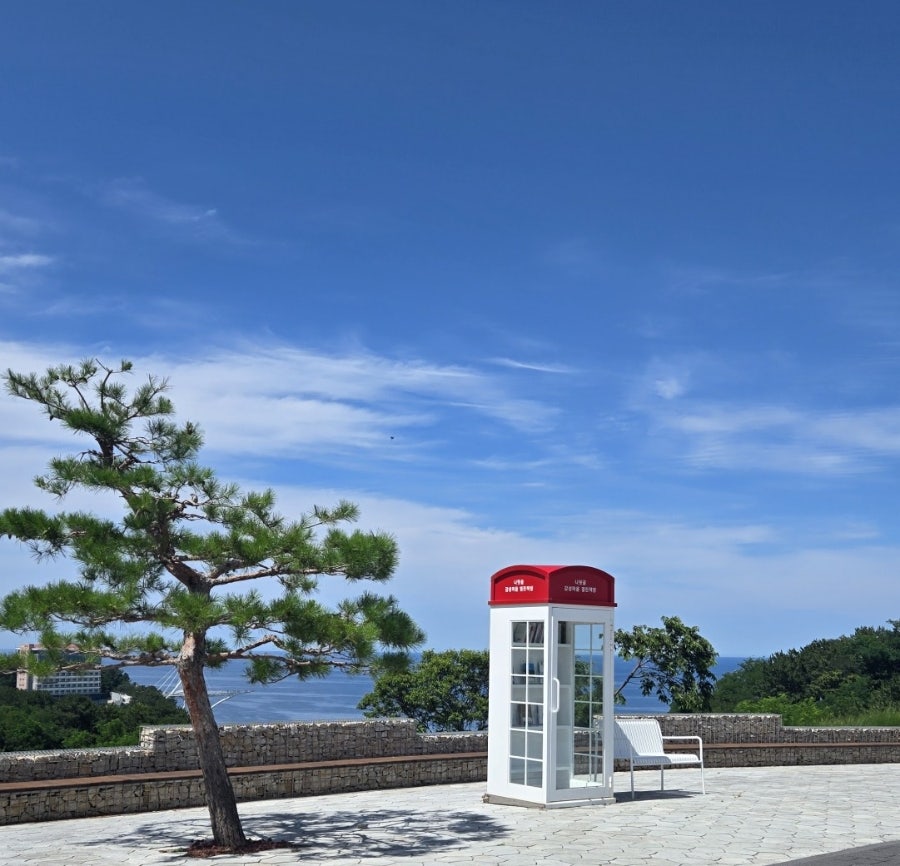 바람의 화원 사진 1