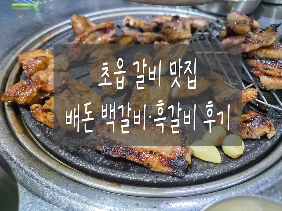 배돈 사진 1