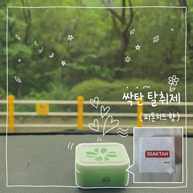 차량 냄새 제거 해결 안전한 식물 유래 싹탄 고체 탈취제 피톤치드향 솔직 후기