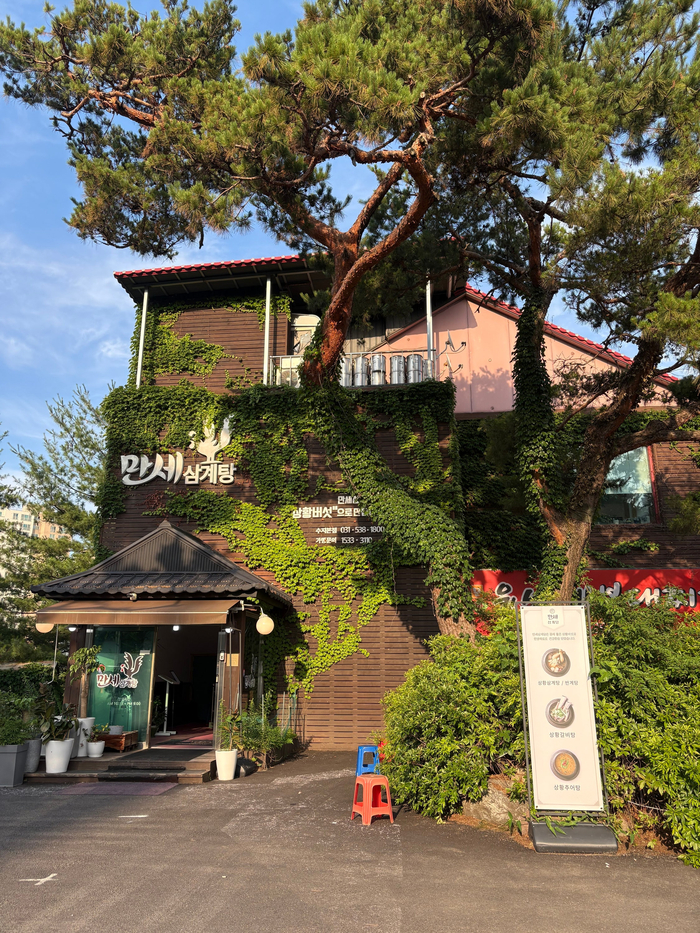 대한민국만세삼계탕 본점 사진 2