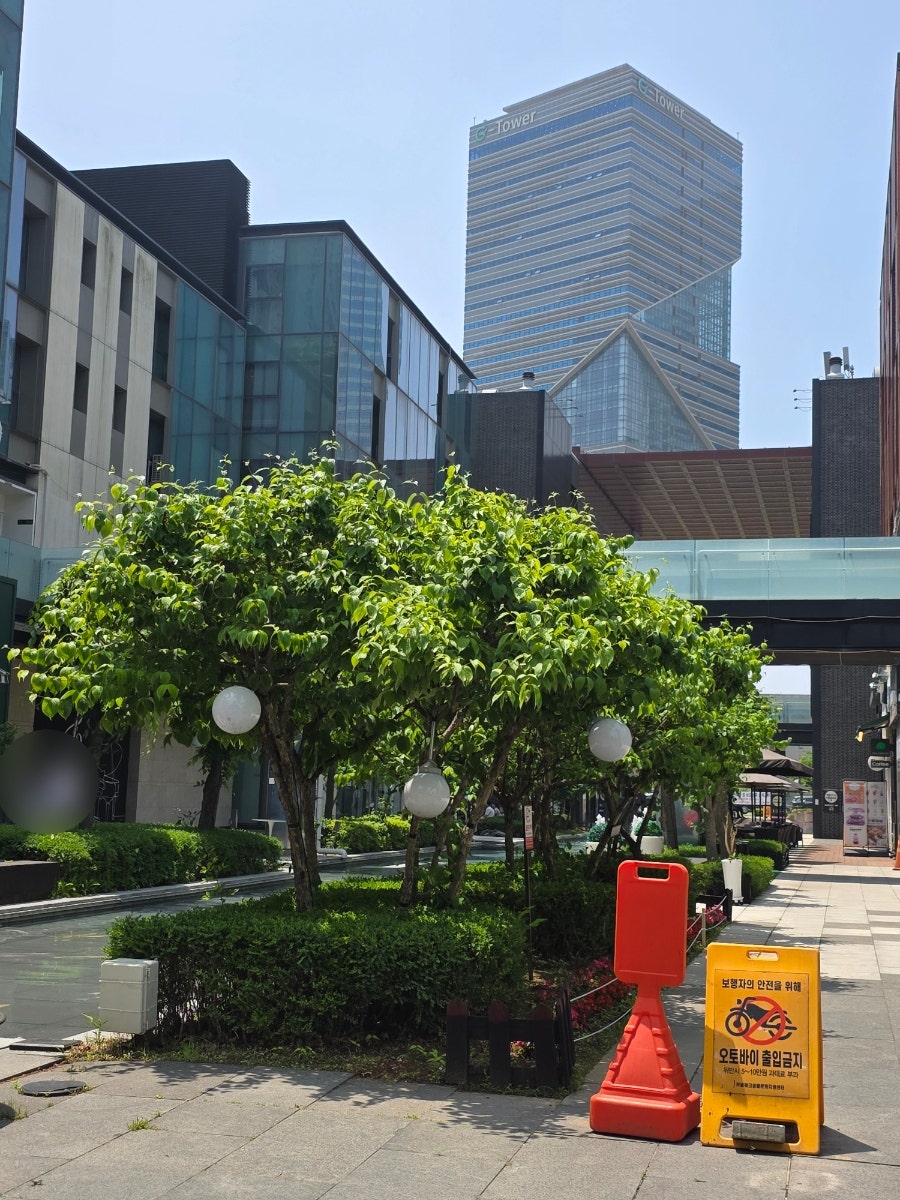 오마카세오사이초밥 송도점 사진 1