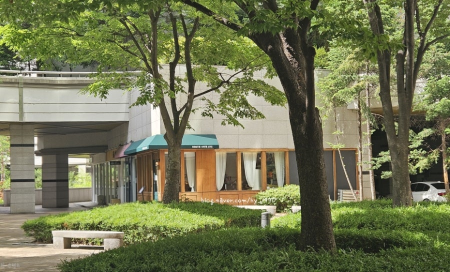 노스49 사진 1