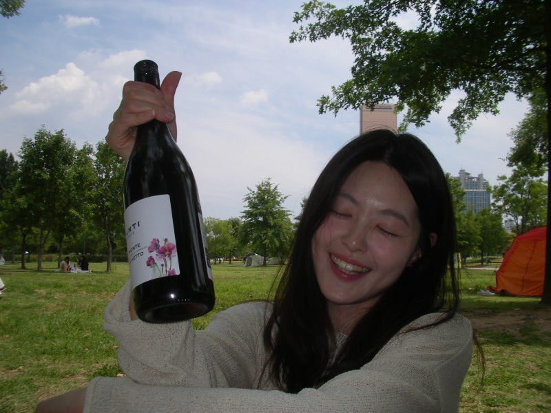 [일상] 소심하게 올드디카 구하기(펜탁스 옵티오 X)