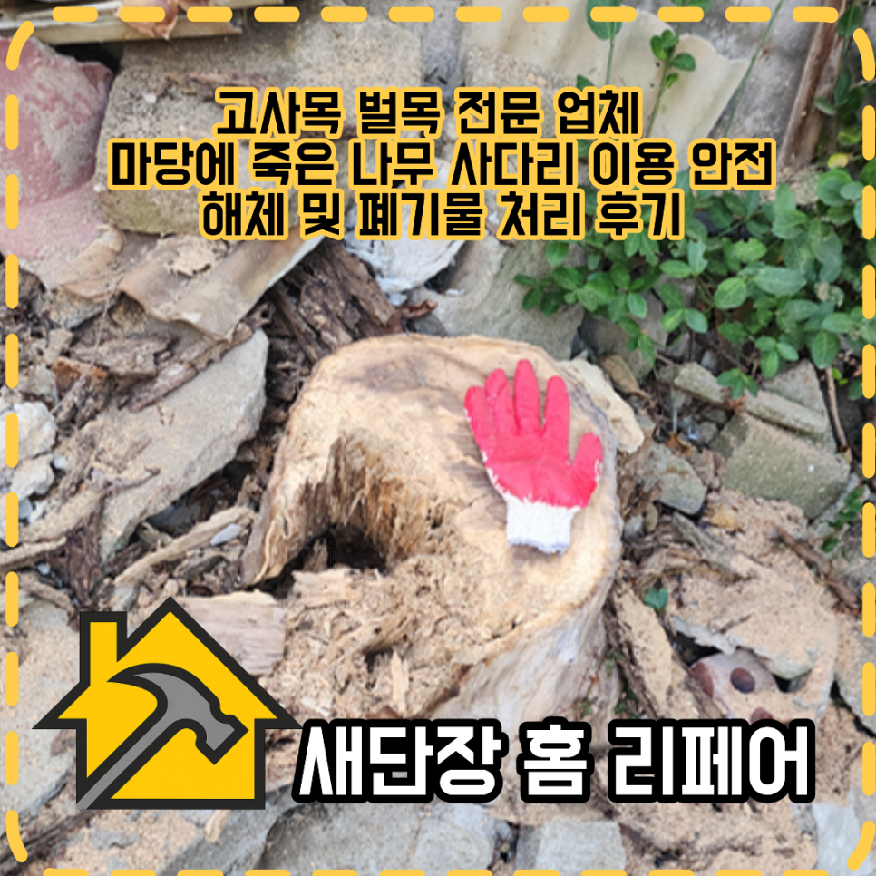 마당 사진 1