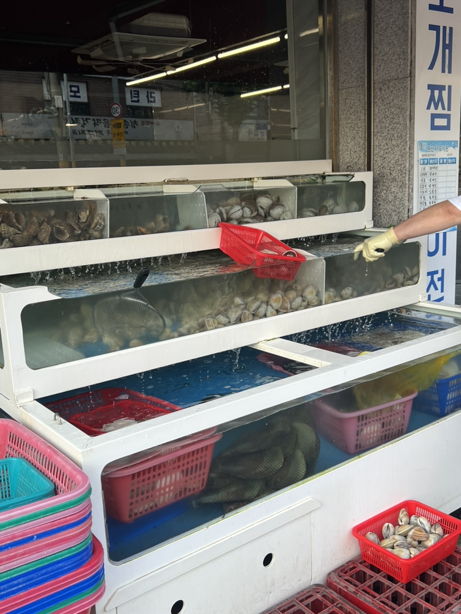 물찬조개 사진 3