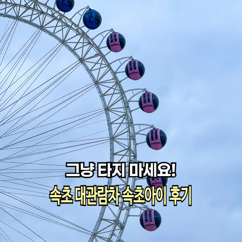 그냥 타지 마세요! 속초 해수욕장 대관람차 속초아이 주차 입장료